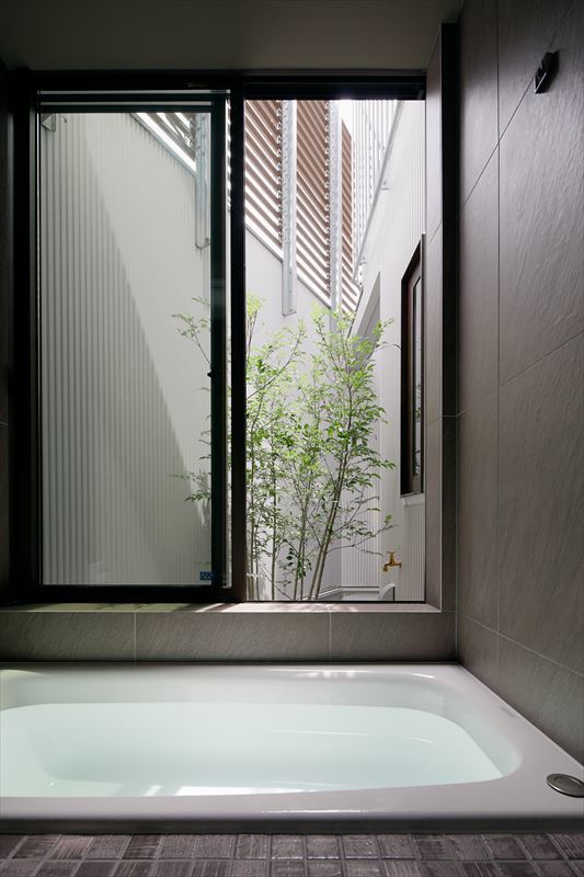 浴室から見えるシンボルツリー